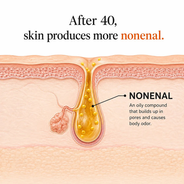 It Targets The Real Cause Of "Aging Odor," Not Just The Smell.