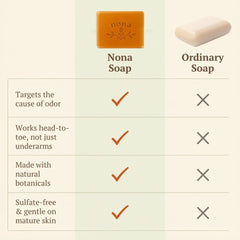 Nona Premium Persimmon Soap